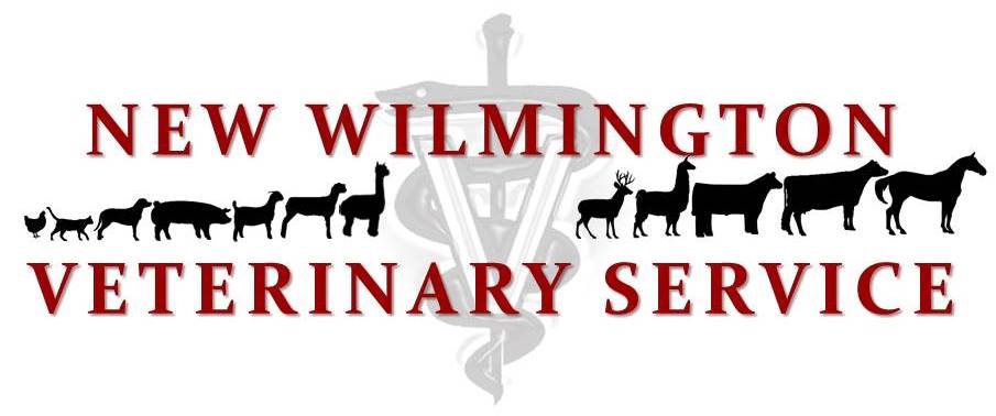 New Wilmington Veterinary Service - New Wilmington Veterinary Service